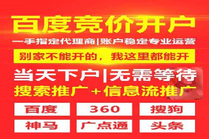 专业SEM托管：成功提升广告效果的案例分析